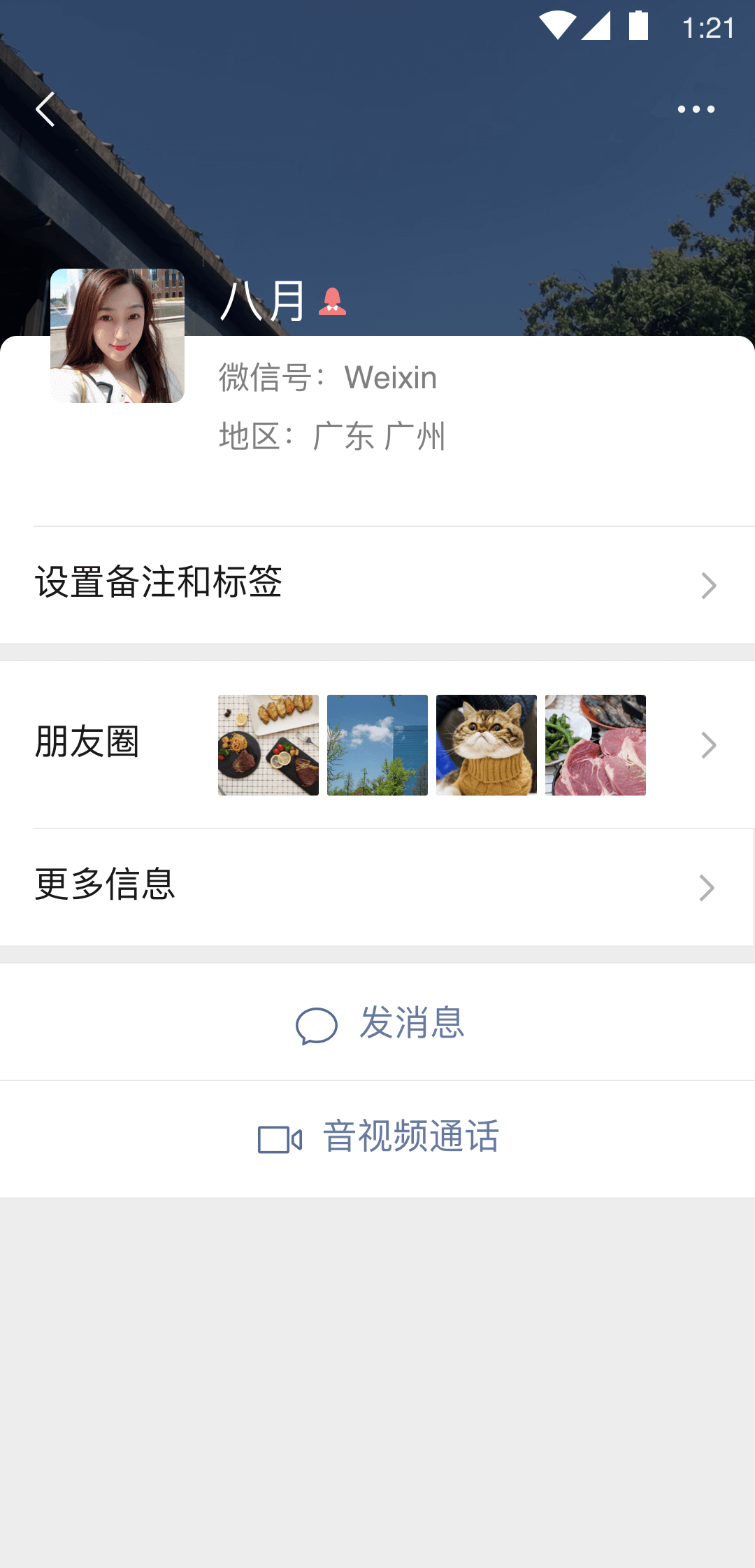 玫瑰夫人骑马截图